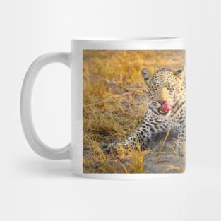 Leopard (Panthera pardus) in the Okavango Delta Mug